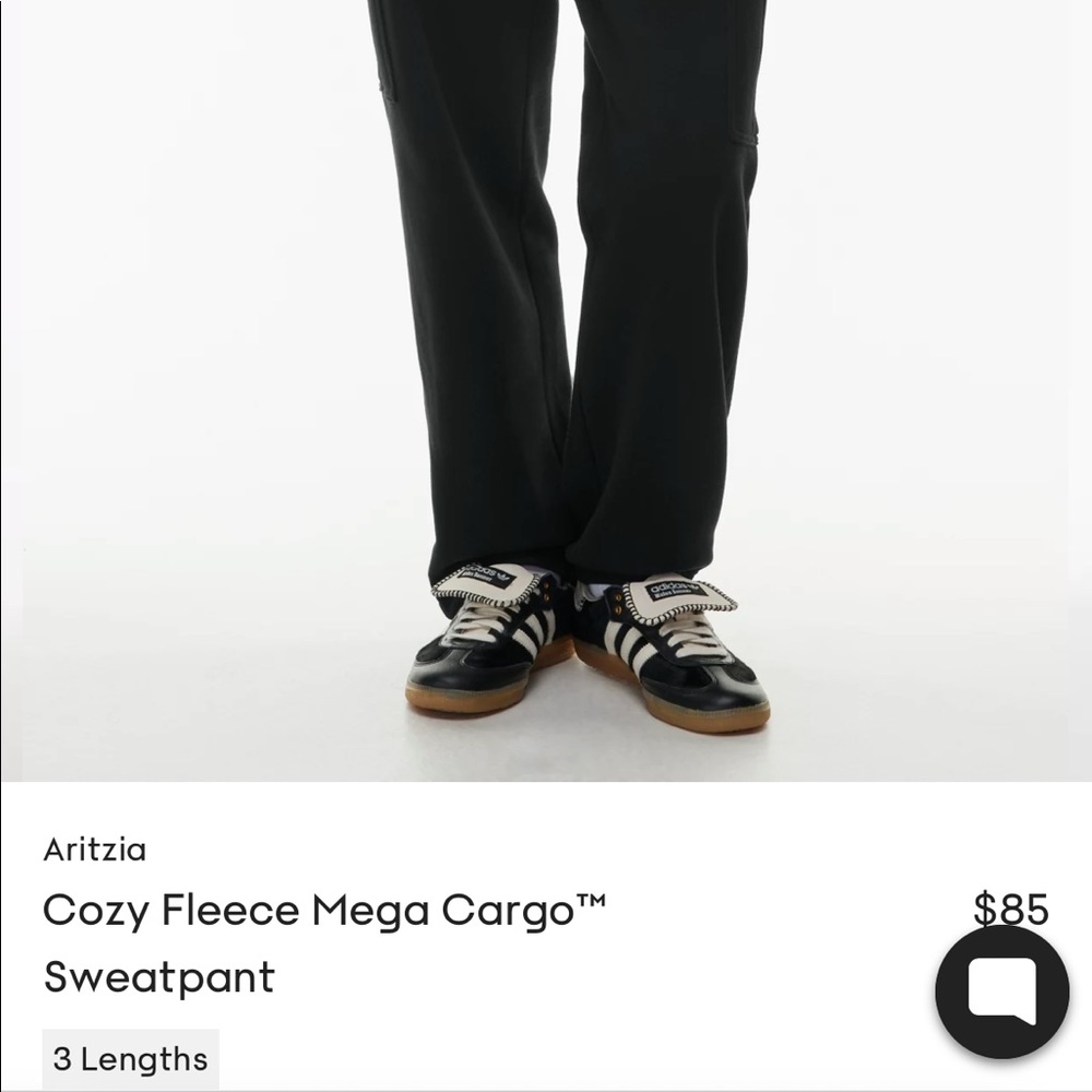 Aritzia TNA cargo sweatpants